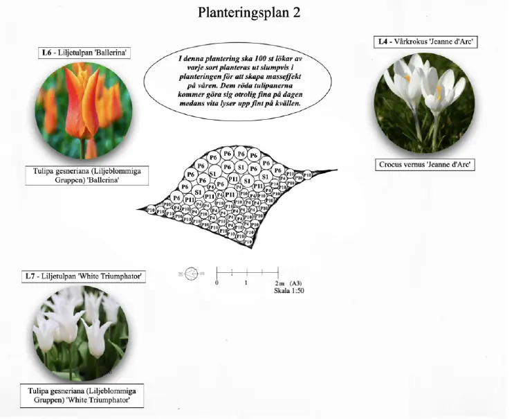 Planteringsplan