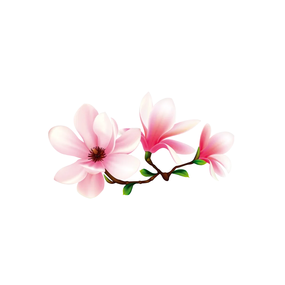 Magnolia Garden Design Vit Logotyp